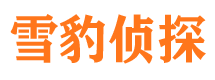 凭祥市侦探公司